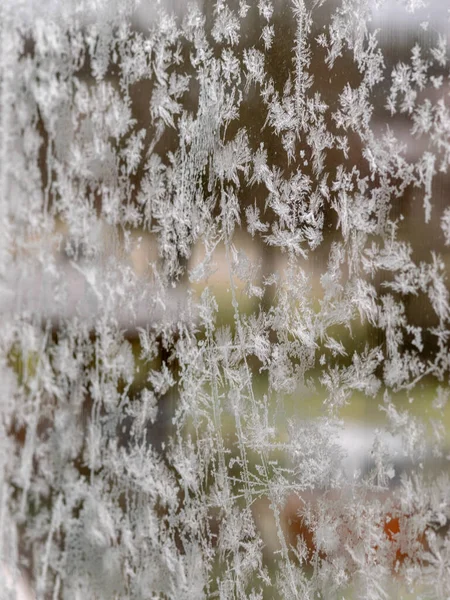 Текстура ледяного цветка, фрагменты цветка льда на размытом фоне — стоковое фото