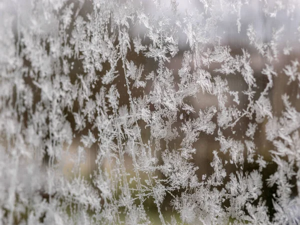 Textura de flor de hielo, fragmentos de flor de hielo sobre fondo borroso — Foto de Stock