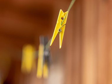 Elbise askıları çamaşır ipinde