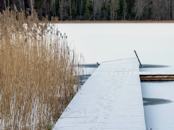 Paisaje de invierno con pasarela de madera cubierta de nieve —  Fotos de Stock