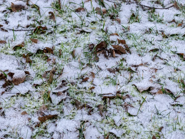 Abstract beeld met droog blad, groen gras en sneeuw textuur — Stockfoto