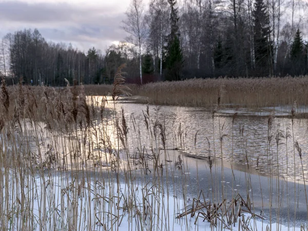Winterlandschaft mit Fluss — Stockfoto