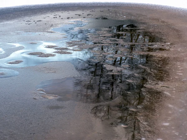 Réflexions abstraites d'arbres dans l'eau — Photo