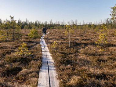 Tahta yaya geçidi olan bir arazi. 