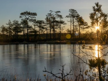 Gün doğumunda güzel bataklık manzarası
