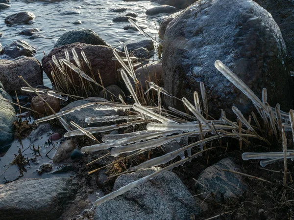 Meer und Wind formten abstrakte Formationen aus gefrorenem, trockenem Schilf — Stockfoto