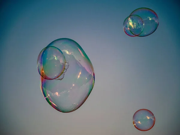 Sabun köpüklü resim