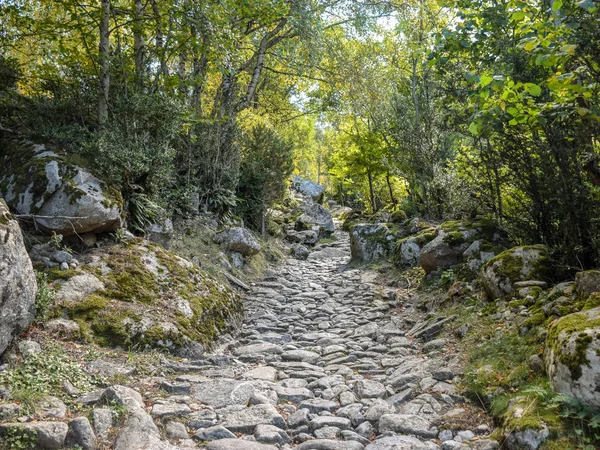 Çıplak kayalıkları ve eski kulesi olan güzel dağ manzarası,