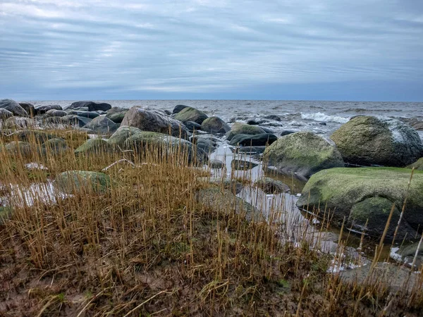 Paysage avec côte de mer pierreuse — Photo