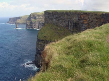Renkli okyanus manzarası, yeşil çimenli kayalar, kayalar ve mavi su. İrlanda 'daki Moher Kayalıkları