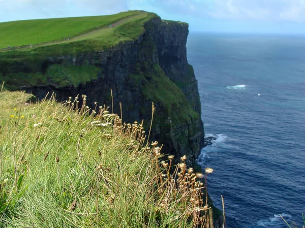 초록빛 바위와 아일랜드의 — 스톡 사진