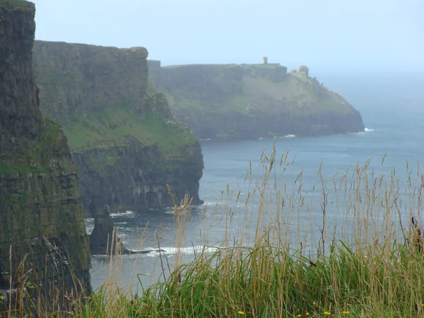초록빛 바위와 아일랜드의 — 스톡 사진