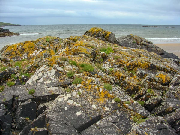 Picture Rocks Ocean Shore Rocks Overgrown Colored Moss Grass Lichens — Stock Photo, Image