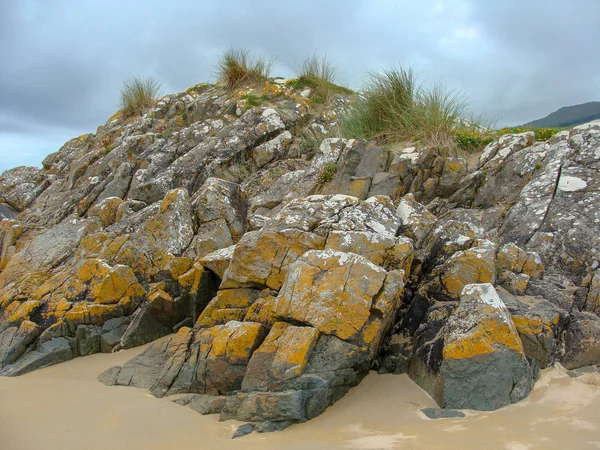 Картина Скель Березі Океану Скелі Вирощені Кольоровим Мохом Травою Лишайниками — стокове фото