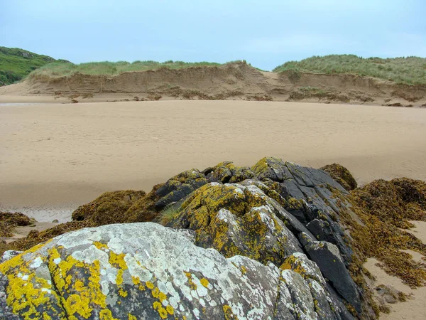 Littoral Océanique Retraite Eau Sable Algues Rochers Collines Verdoyantes Arrière — Photo