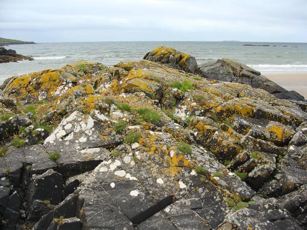 Immagine Rocce Sulla Riva Dell Oceano Rocce Ricoperte Muschio Colorato — Foto Stock