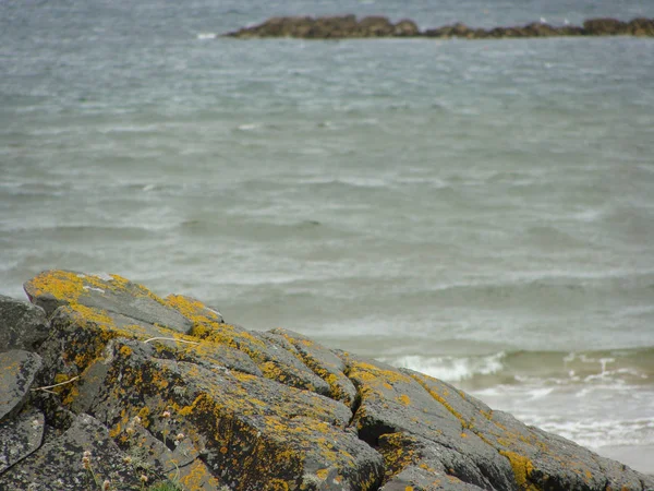 海岸上的岩石 长满了彩色苔藓 青草和苔藓的岩石 — 图库照片