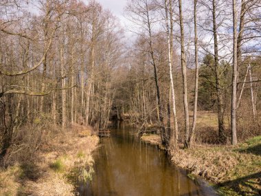 Küçük vahşi bir nehir, kuru çimenler ve sudaki çıplak ağaçların yansıması.