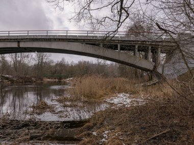 Çalılar, kurumuş dallar ve eski otlarla kaplanmış küçük ve vahşi bir nehir üzerindeki beton kemerli köprü.