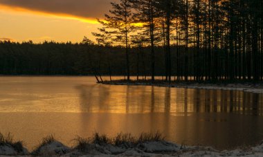 Güneşin erken doğduğu göl manzarası, cennet gökyüzü, siyah ağaç siluetleri. Buz dokusunda güzel gölgeler ve ışıltı ön planda kar ve kuru bataklık otları.