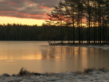 Güneşin erken doğduğu göl manzarası, cennet gökyüzü, siyah ağaç siluetleri. Buz dokusunda güzel gölgeler ve ışıltı ön planda kar ve kuru bataklık otları.