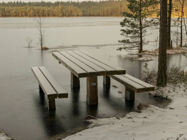 winter landscape with flooded lake shore, picnic area covered with ice, trees and land covered with snow, sunrise
