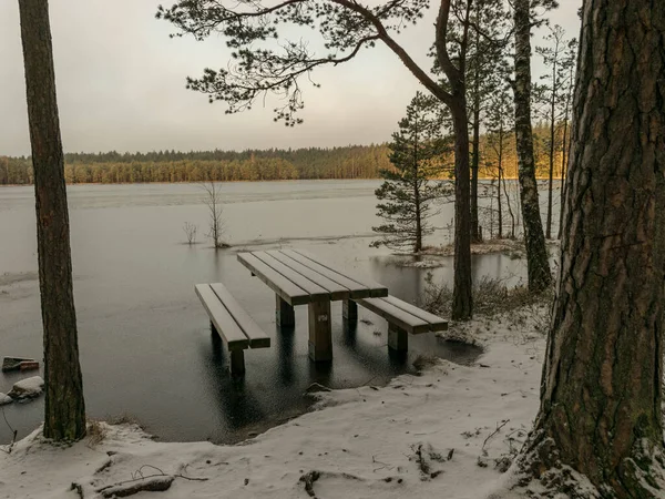 Téli Táj Elárasztott Partján Piknik Terület Borított Jég Fák Föld — Stock Fotó