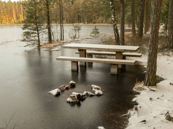 winter landscape with flooded lake shore, picnic area covered with ice, trees and land covered with snow, sunrise