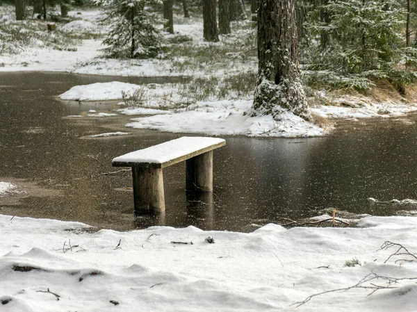 Paisagem Inverno Com Margem Lago Inundada Área Piquenique Coberta Gelo — Fotografia de Stock