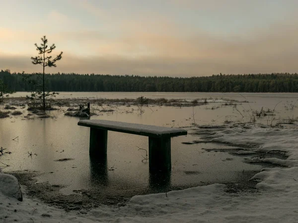 Winter Landscape Flooded Lake Shore Picnic Area Covered Ice Trees — Stock Photo, Image