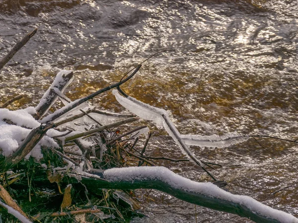 Зимовий Пейзаж Дикою Швидкоплинною Річкою Засніжена Земля Багато Кущів Гілок — стокове фото