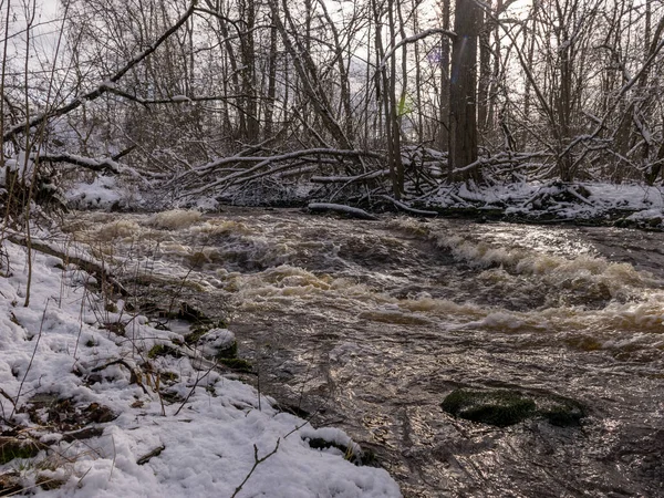 Χειμερινό Τοπίο Άγρια Γρήγορη Ροή Του Ποταμού Χιόνι Καλύπτεται Πολλά — Φωτογραφία Αρχείου