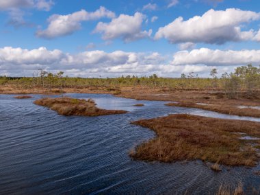 Güneşli bir günde bir turba gölü manzarası, güçlü rüzgardan küçük dalgalar oluşturan göl, Letonya Raganu bataklığı,