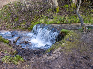 Küçük ve vahşi nehir manzarası, yosunlu kayalar ve ağaç gövdeleri