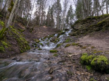 Kayaların üzerinden akan ve bir şelale etkisi yaratan bir su akıntısı, kayaların üzerinde büyüyen temiz su ve yeşil yosun. Kazu Grava, Letonya