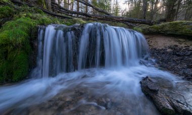 Orman şelalesi manzarası, derin orman şelalesi manzarası, yosunlu nehir kıyıları, devrilmiş ağaçlar.