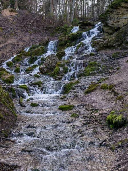 岩の上を流れる水の流れと滝の効果 澄んだ水と緑の苔の岩の上に成長を作成します ラトビアのカズ グラヴァ — ストック写真