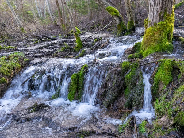 Vista Cascada Del Bosque Paisaje Cascada Del Bosque Profundo Riberas — Foto de Stock