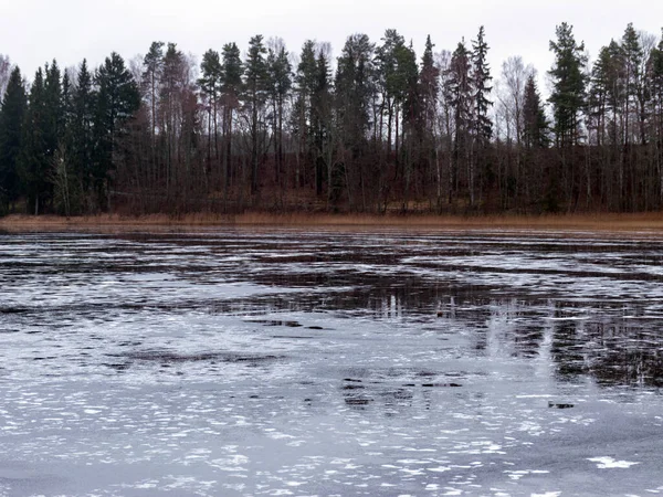 Paisagem Inverno Com Lago Congelado Silhuetas Árvores Nuas Nas Margens — Fotografia de Stock