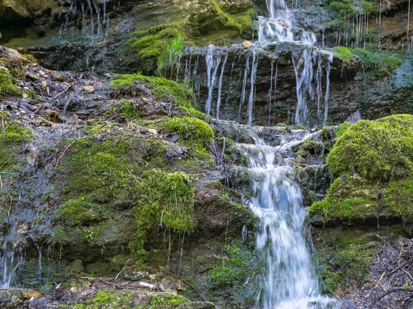 Landscape Small Wild River Mossy Rocks Tree Trunks — Stock Photo, Image