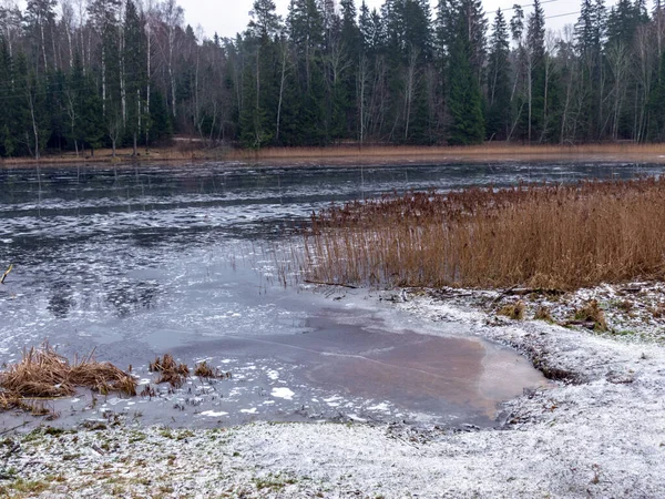 凍った湖や海岸の裸の木のシルエット水の反射と冬の風景 — ストック写真