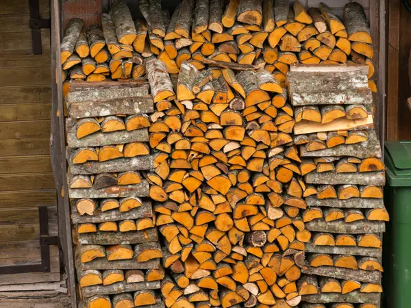 Yakacak Odunları Yakacak Odunları Olan Bir Resim — Stok fotoğraf