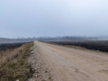 Sis manzarası, bulanık arka plan, tarla parçaları, toprak yol ve ön planda kuru otlar.