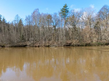 Nehir kıyısında nehir ve çıplak ağaçlarla kaplı bahar manzarası, Abava nehri, Letonya