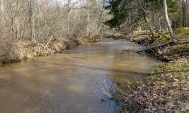 Nehir kıyısında nehir ve çıplak ağaçlarla kaplı bahar manzarası, Abava nehri, Letonya