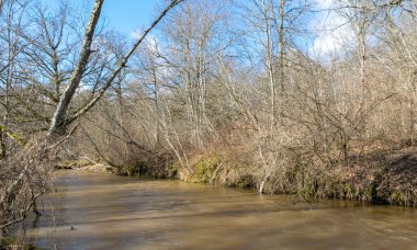 Nehir kıyısında nehir ve çıplak ağaçlarla kaplı bahar manzarası, Abava nehri, Letonya