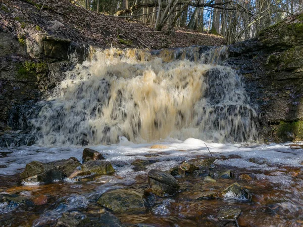 Lente Landschap Met Een Kleine Waterval Een Kleine Wilde Rivier — Stockfoto