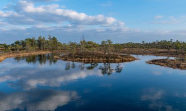 Letonya 'daki Kemeri Milli Parkı' nın bataklıklarında ağaçlarla dolu sakin bir su, güneşli bir bahar akşamüstü.