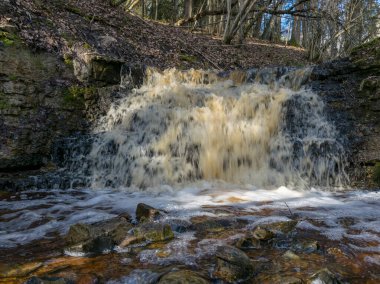 Küçük, vahşi bir nehir üzerinde küçük bir şelalesi olan bahar manzarası