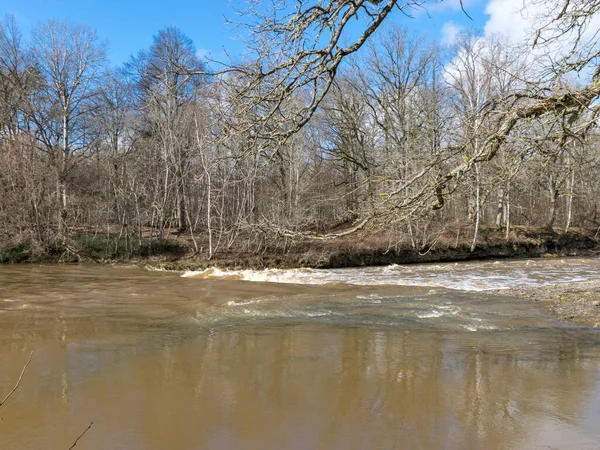 spring landscape with river and naked trees on the river bank, river Abava, Latvia